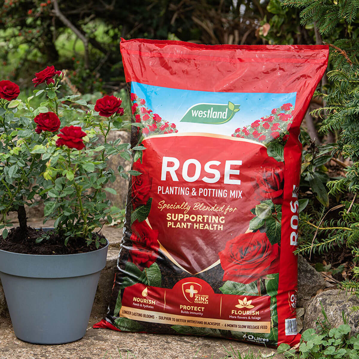 Rose Planting & Potting Mix Ruxley Manor