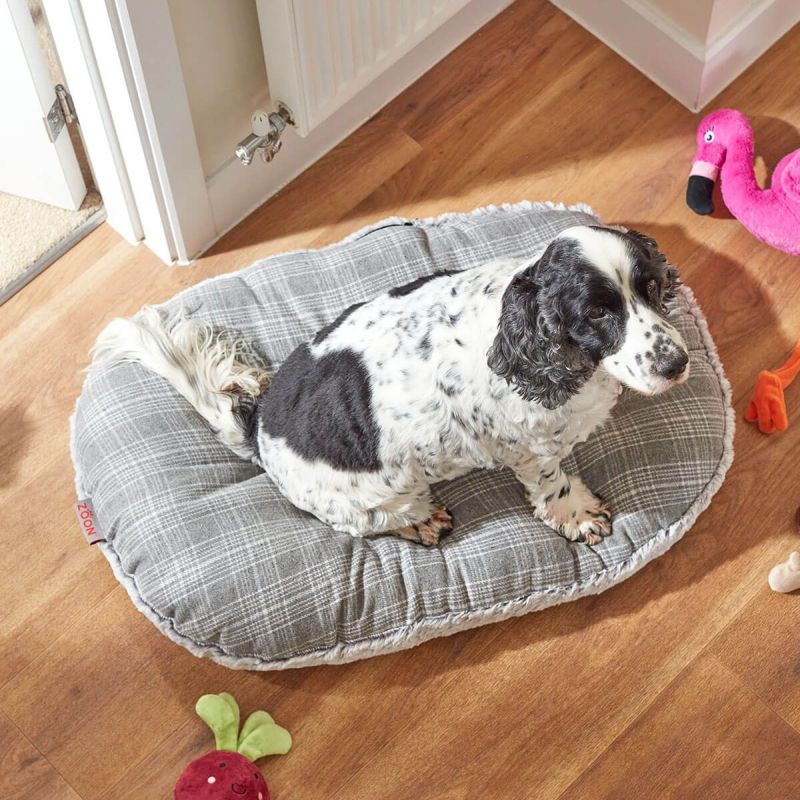 Zoon Plaid Oval Cushion Dog Bed - Grey (Extra Large Dog)