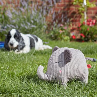 Zoon 'Junior Jumbo!' The Elephant - Soft Dog Toy with Squeaker